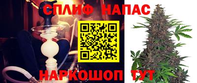 ПСИЛОЦИБИНОВЫЕ ГРИБЫ Новокубанск