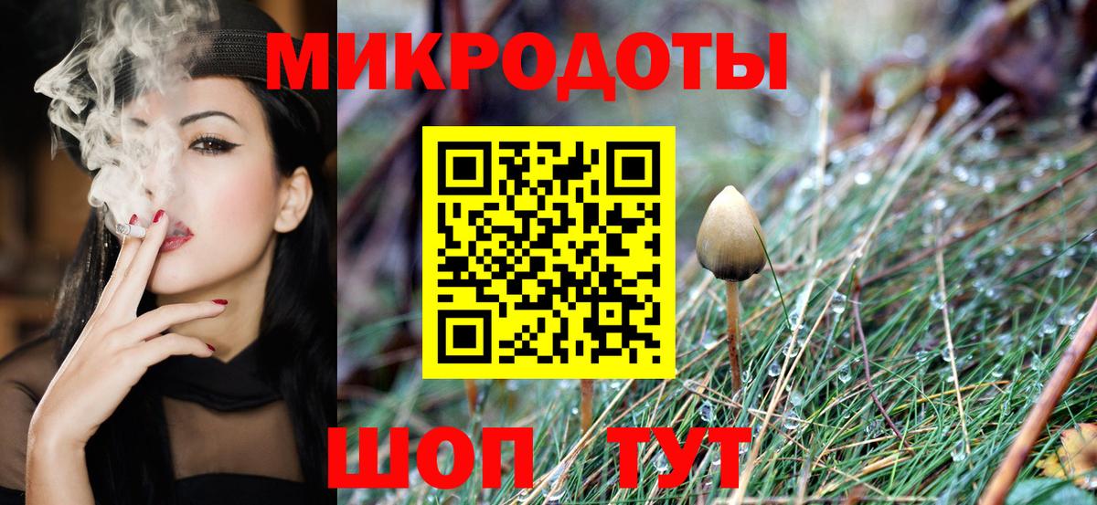 Псилоцибиновые грибы GOLDEN TEACHER  Галлюциногенные грибы Psilocybe  Тында 