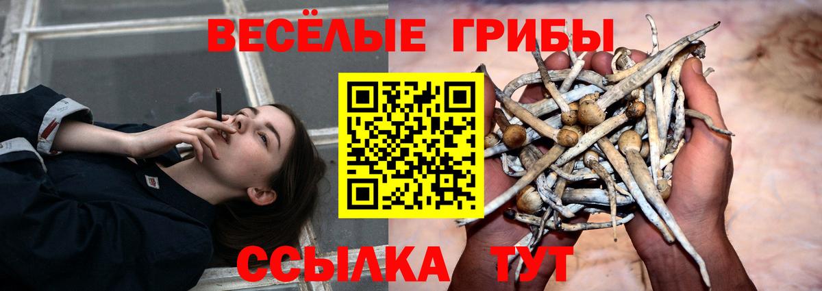 Галлюциногенные грибы GOLDEN TEACHER Тында